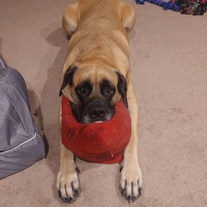 Meet your Posher, Natasha